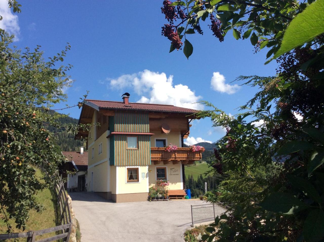Appartement Haus Erika à Wagrain Extérieur photo