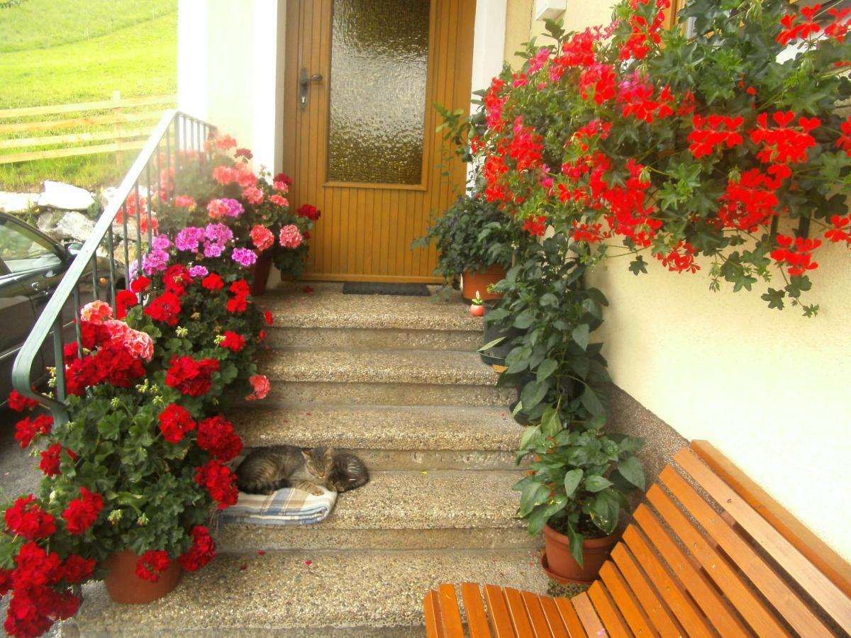 Appartement Haus Erika à Wagrain Extérieur photo